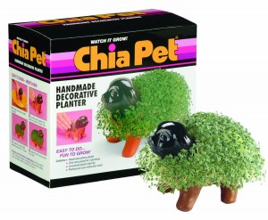 chia dr samantha