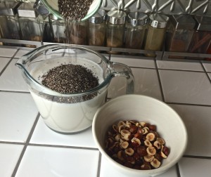 chia pudding dr samantha